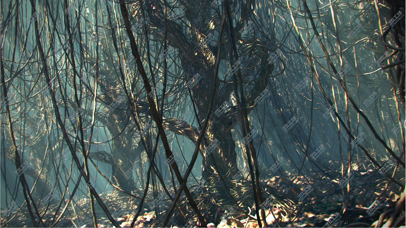 images/goods_img/2021040164/Ayahuasca Vines - Magical Forest/5.jpg